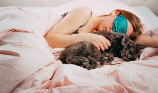 איך לדאוג ללילות שקטים עם החתול