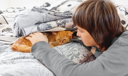Why your cat is stressed and how you can help